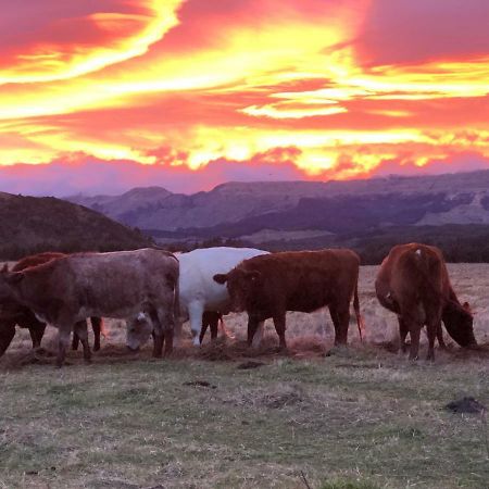 Mohaka River Farm Te Haroto Eksteriør billede