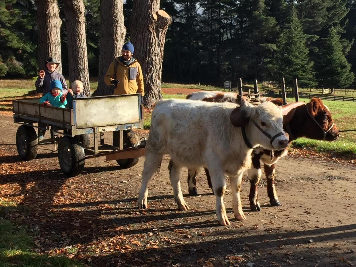 Mohaka River Farm Te Haroto Eksteriør billede