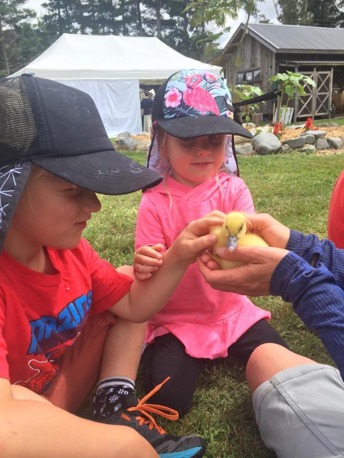 Mohaka River Farm Te Haroto Eksteriør billede