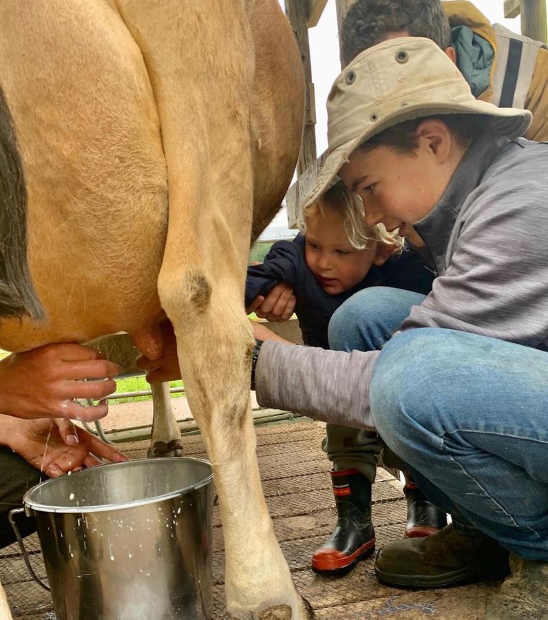 Mohaka River Farm Te Haroto Eksteriør billede