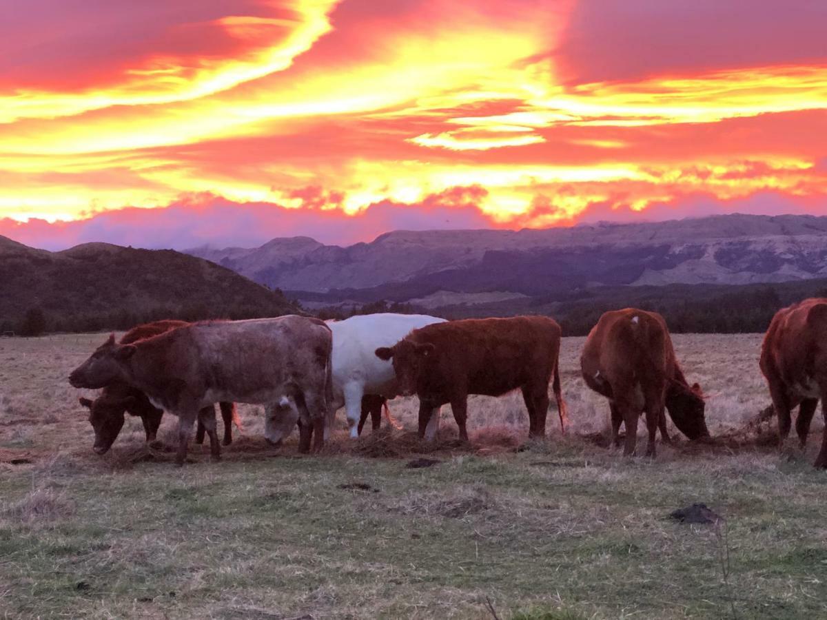Mohaka River Farm Te Haroto Eksteriør billede