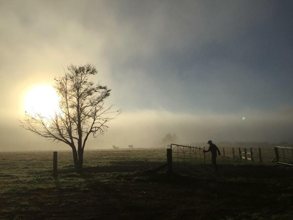 Mohaka River Farm Te Haroto Eksteriør billede