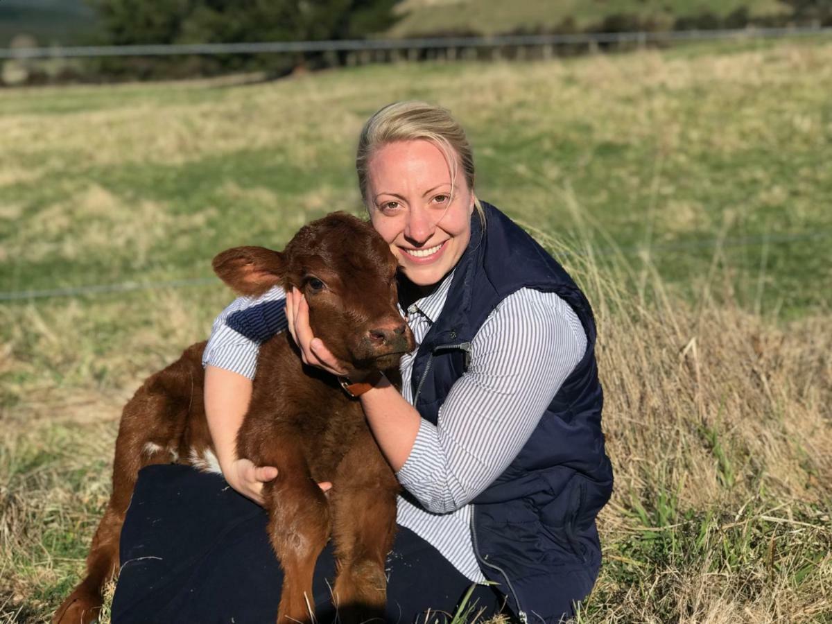 Mohaka River Farm Te Haroto Eksteriør billede